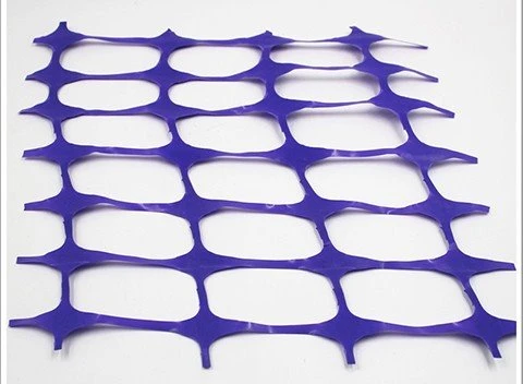 Protective net